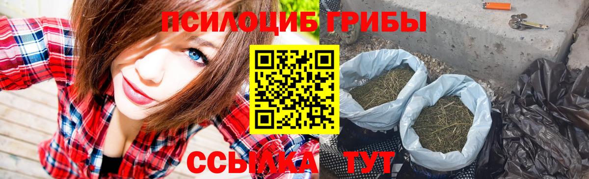 Галлюциногенные грибы Cubensis  Вход с VPN  Галлюциногенные грибы MAGIC MUSHROOMS  Ливны 